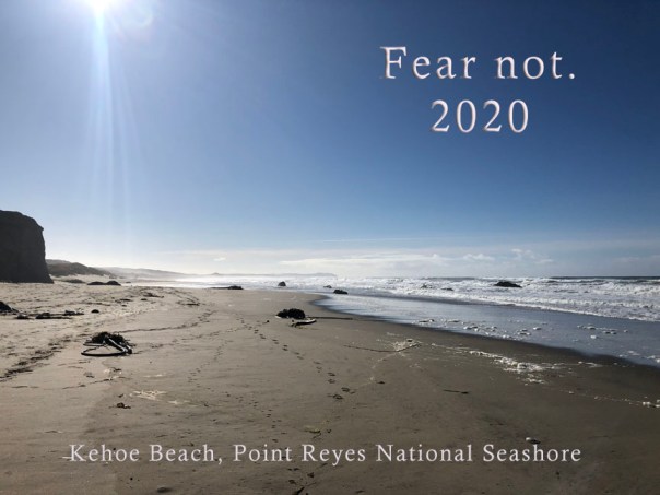 2020 Fear Not